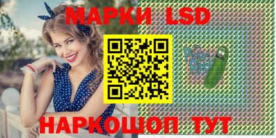 крисы Новозыбков