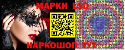 СК Новодвинск