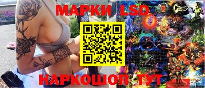 крисы Новозыбков
