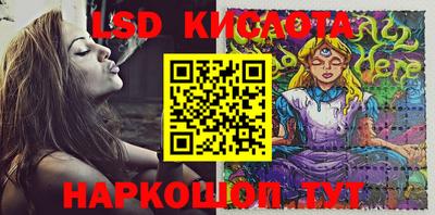 крисы Новозыбков