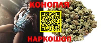крисы Новозыбков