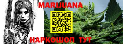 крисы Новозыбков