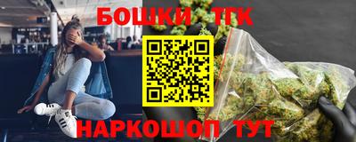 СК Новодвинск