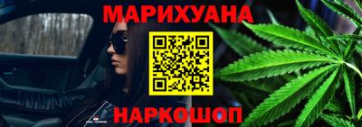 СК Новодвинск