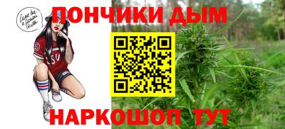 дмт Новокубанск