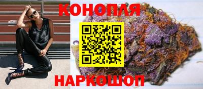 крисы Новозыбков