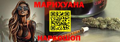 СК Новодвинск