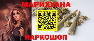 крисы Новозыбков