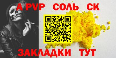 СК Новодвинск