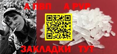 СК Новодвинск