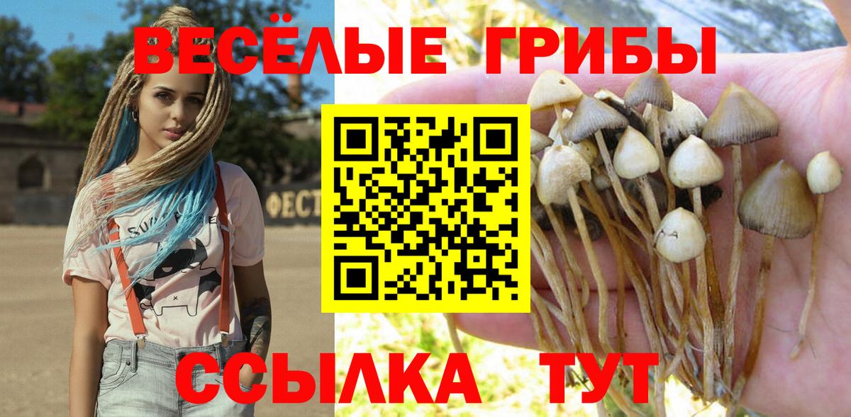 Галлюциногенные грибы Cubensis  Вход с VPN  Пыть-Ях 
